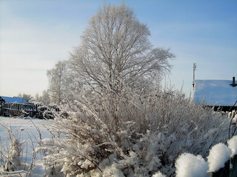 Similar image 21772953