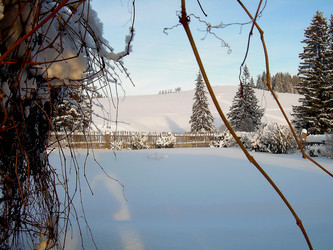 Similar image 21772954