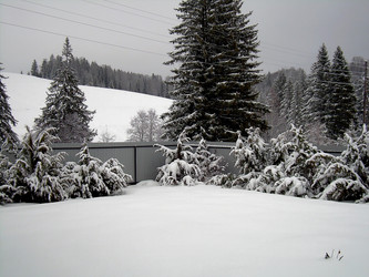 Similar image 21772956