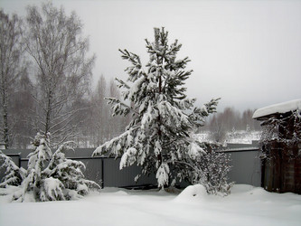 Similar image 21772957