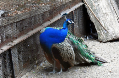 Similar image 21772958