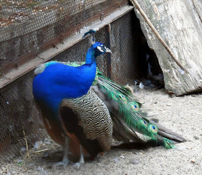 Similar image 21772961