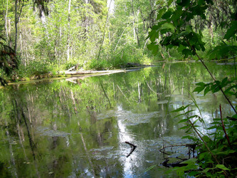 Similar image 21772964