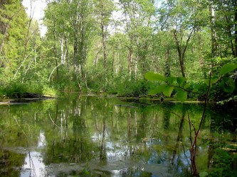 Similar image 21772965