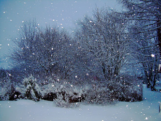 Similar image 21772966