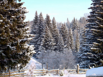 Similar image 21772969