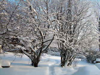 Similar image 21772970