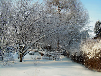 Similar image 21772972