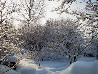 Similar image 21772974