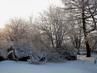 Similar image 21772975