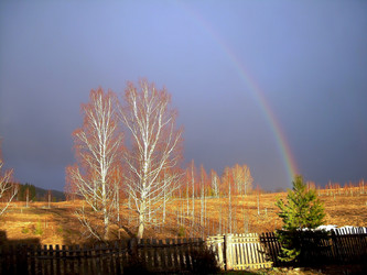 Similar image 21772976