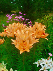 Similar image 21772853