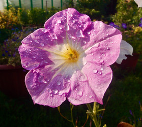 Similar image 21772855