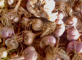 Similar image 21772856