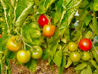 Similar image 21772858