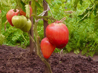 Similar image 21772860