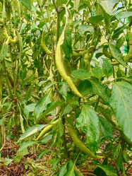 Similar image 21772862