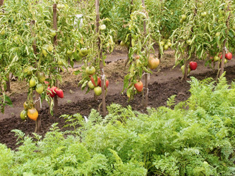 Similar image 21772863