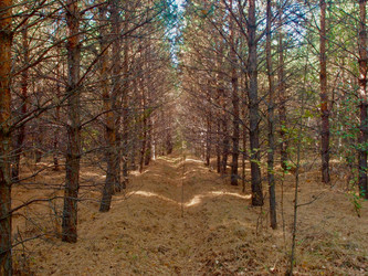 Similar image 21772864