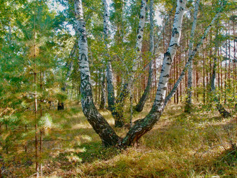 Similar image 21772866