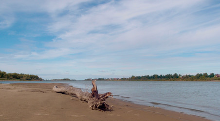 Similar image 21772889