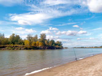 Similar image 21772892