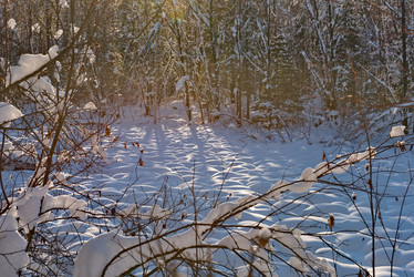 Similar image 21777731