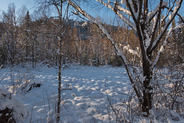 Similar image 21777732