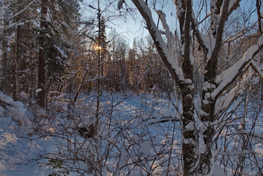 Similar image 21777734