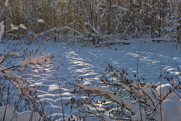 Similar image 21777736