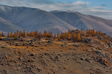 Similar image 21780529