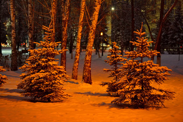 Similar image 21778871