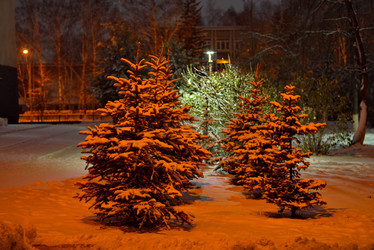 Similar image 21778874