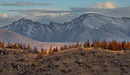 Similar image 21780530