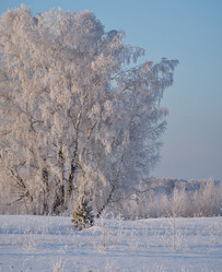 Similar image 21779607