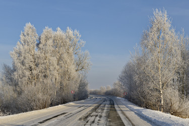 Similar image 21779608