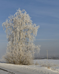 Similar image 21779609