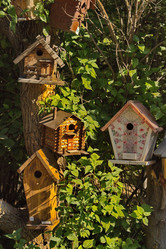 Similar image 21780532