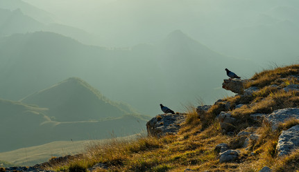 Similar image 21780538