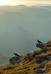 Similar image 21780539