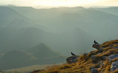 Similar image 21780540