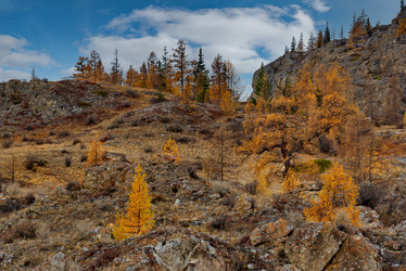 Similar image 21780543