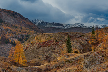 Similar image 21780544