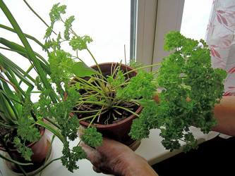 Similar image 21772978