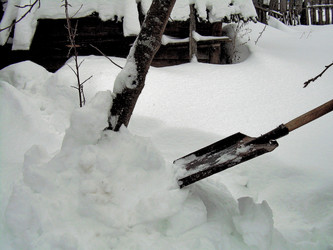 Similar image 21772981