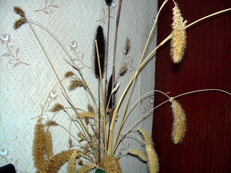 Similar image 21772985