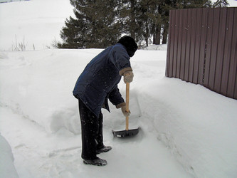 Similar image 21772989