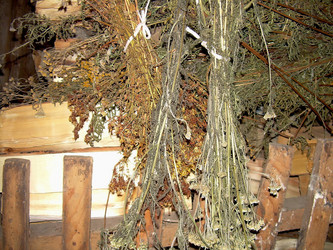 Similar image 21772991