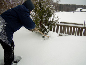 Similar image 21772993