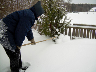 Similar image 21772994